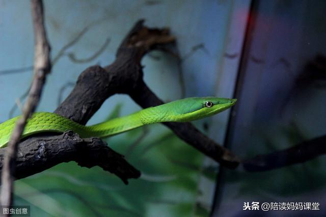四个时间千万不要批评孩子，后果很严重