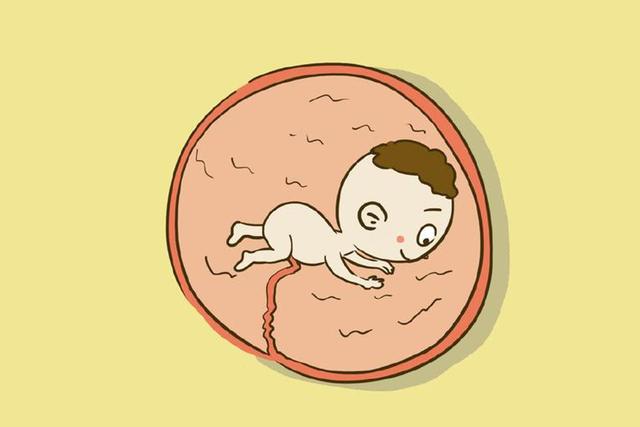怀孕过三个月就安全了？其实这个月份更危险