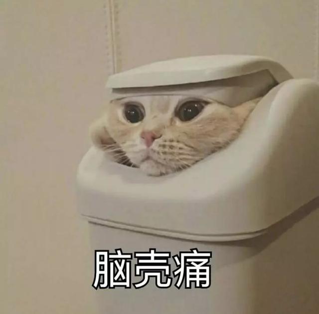 外国牙医们准备的玩具画风清奇，一眼就让人知道牙齿的重要性