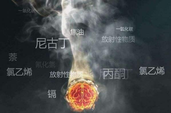 二手烟对孕妇及胎儿的危害性比我们想象的还要大得多！
