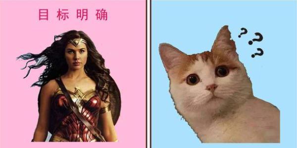 医生：孩子多大？老公无奈看着我！爸爸和妈妈的区别不止这一点
