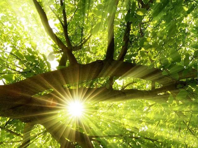 “立夏”节气帮孩子驱赶寒邪，让孩子接下来一年不生病，长高高！