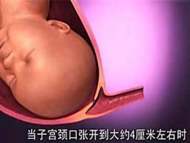 宝宝那么大，如何从狭小的产道中生出来的，了解后方知母爱多伟大