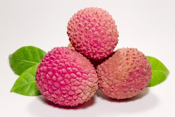 孕妇可以吃荔枝吗 吃荔枝真的会流产吗