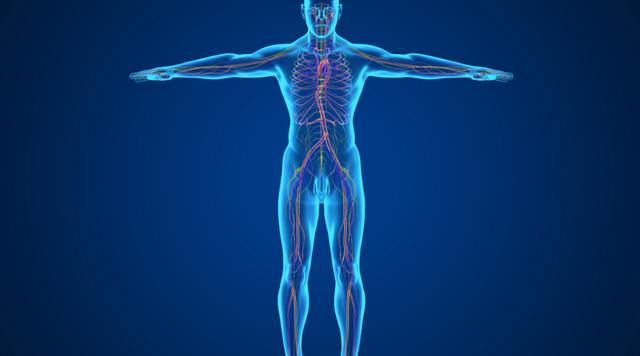 ��ҪԶ�롸ǰ�����ס�����3���������ڸ�����������