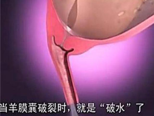 宝宝那么大，如何从狭小的产道中生出来的，了解后方知母爱多伟大