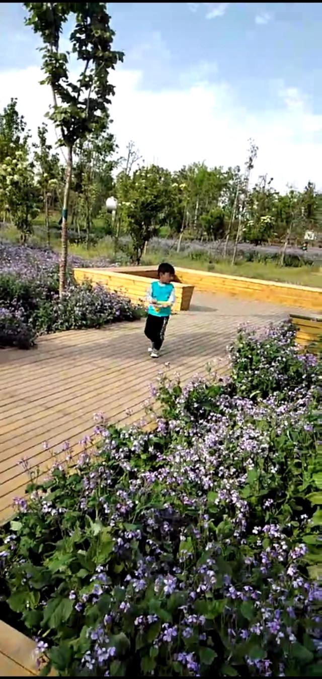 孩子你的世界很精彩，妈妈要蹲下来和你一起看