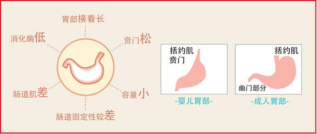 给宝宝拍奶嗝后还吐奶？可能是这4个原因在捣乱！