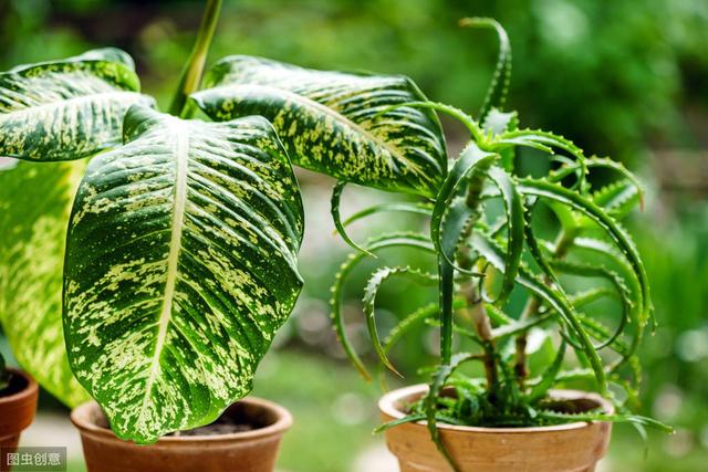 面对孩子的时候，不妨做个“话痨”父母。