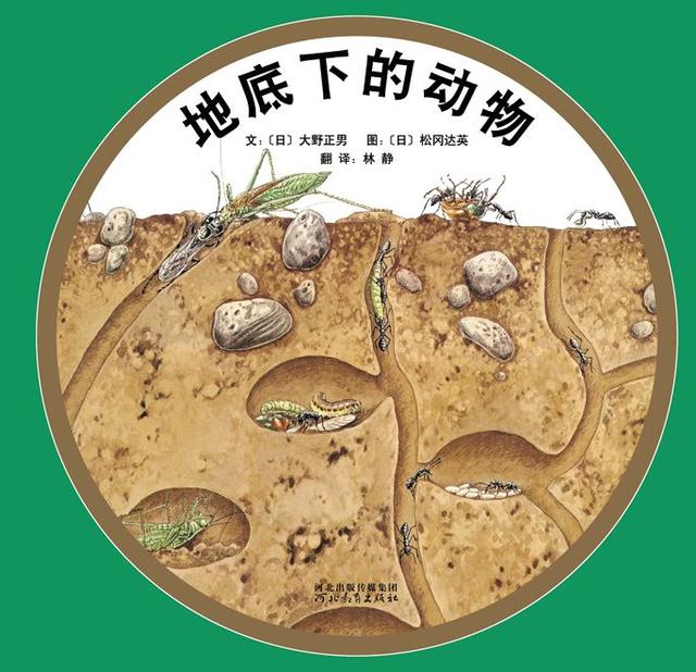 经典绘本 | 《地底下的动物》
