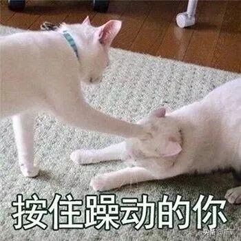 王诗龄换牙后美貌值倍增，智齿也长的太好了