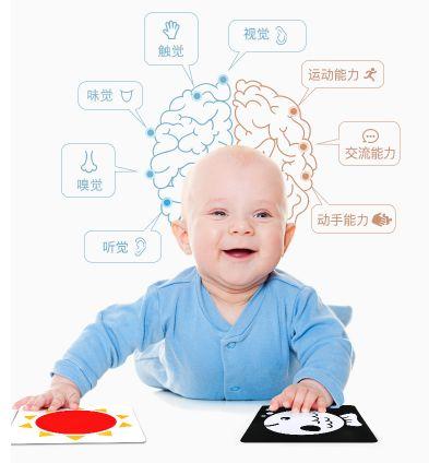 荐书|打造宝宝“最强大脑”，从这里入手