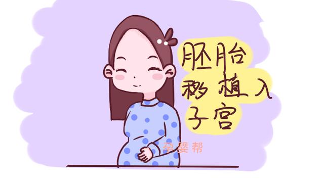试管婴儿和正常人最大的差别，不是寿命的长短，而是这一点