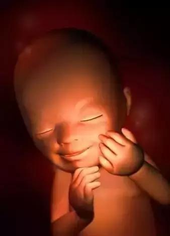 胎宝宝在肚子里的神奇变化，看完太让人激动了！