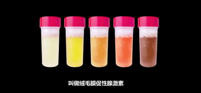 孕妇尿6块钱一斤，还能换肥皂牙膏，最后到底被收来做什么了？