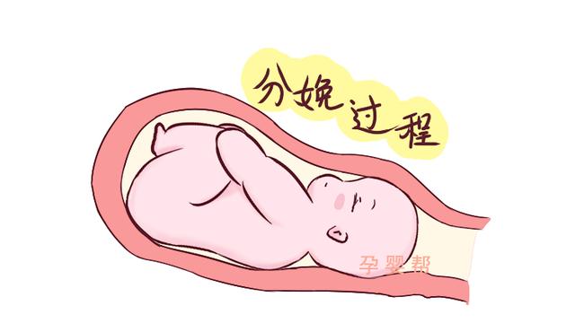 都说生孩子疼，可没几个人知道到底疼在哪，医生：疼在这