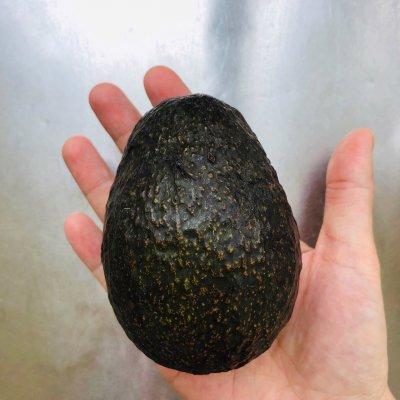 牛油果蛋白溶豆