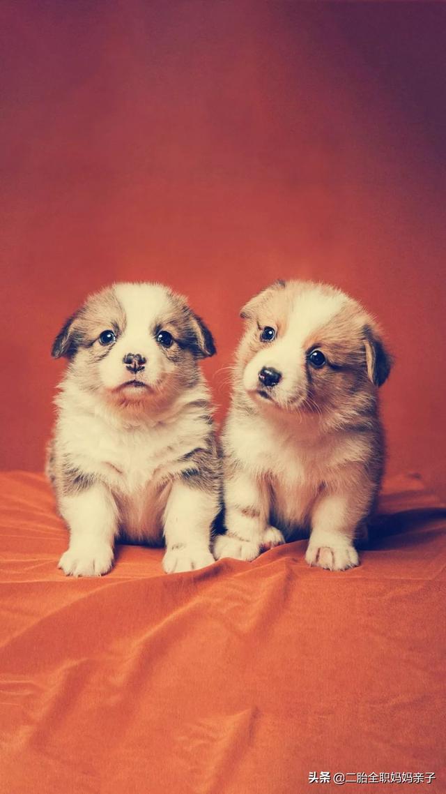 当青春期儿子与父亲起冲突打起来时，母亲的做法获家长们的秒赞