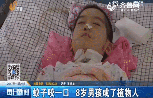 这款ins网红产品，比蚊香好用100倍！夏天有它，蚊子不敢靠近！