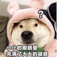 小学生实力吐槽:妈妈的晒娃朋友圈,让我的人生都乱套了