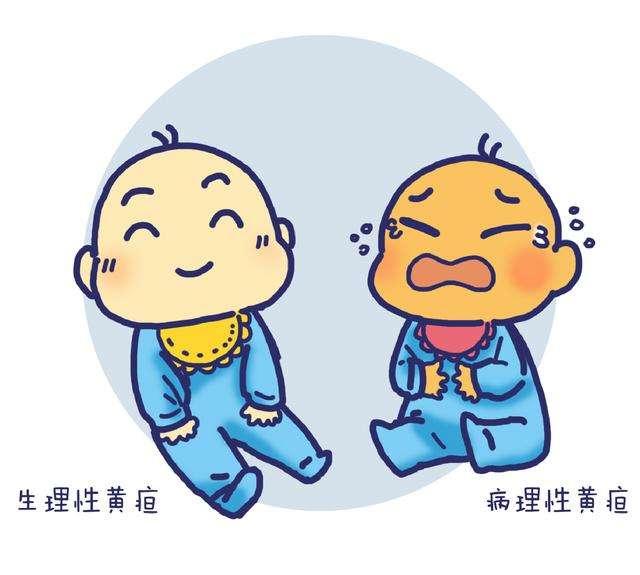 新生儿黄疸，多黄需要治？除了照蓝光，严重甚至要换血治疗！