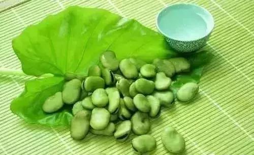 无锡6岁男童差点没命!因吃了蚕豆