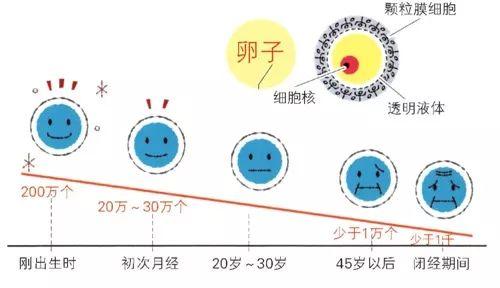 日本No.1备孕产品，明星超模成功怀孕都靠它！