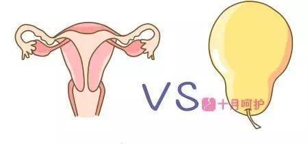 为什么孕肚有上怀有下怀，和怀男宝有关？原因大多数人都想错了