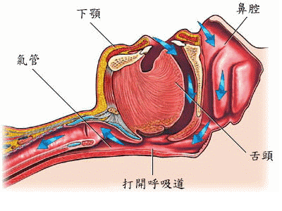 打呼噜会让宝宝变丑吗？医生说：影响生长发育及智力，父母要警惕