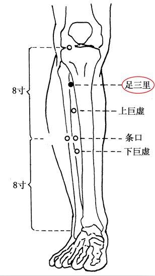 只需几针,痛苦立缓——胃痉挛的针灸治疗
