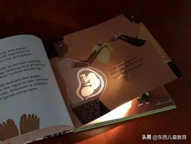 美亚爆款 | 抓住孩子探索敏感期，我强烈推荐这套光影科普书！