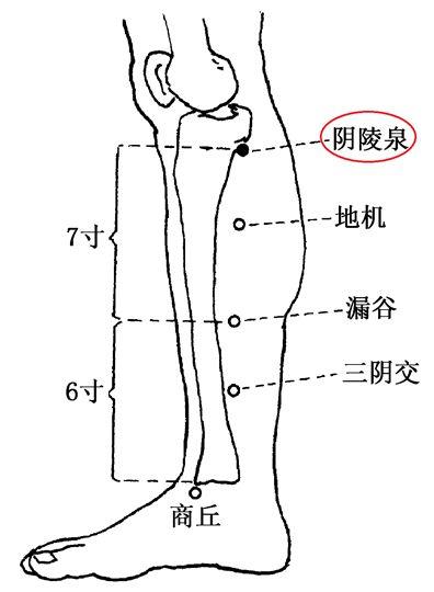 只需几针,痛苦立缓——胃痉挛的针灸治疗
