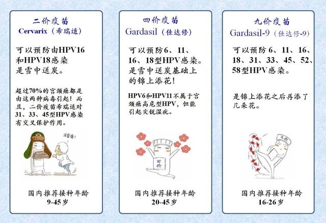 宫颈癌疫苗什么年龄接种最合适?协和妇产科专家告诉你答案!