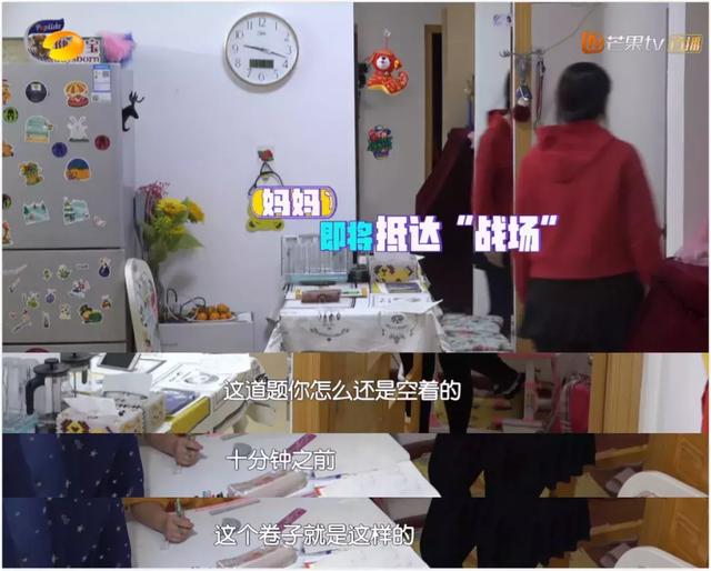 育儿观念 | 所有的丧偶式育儿，背后都有一个“虎妈猫爸”！