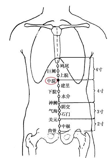 只需几针,痛苦立缓——胃痉挛的针灸治疗