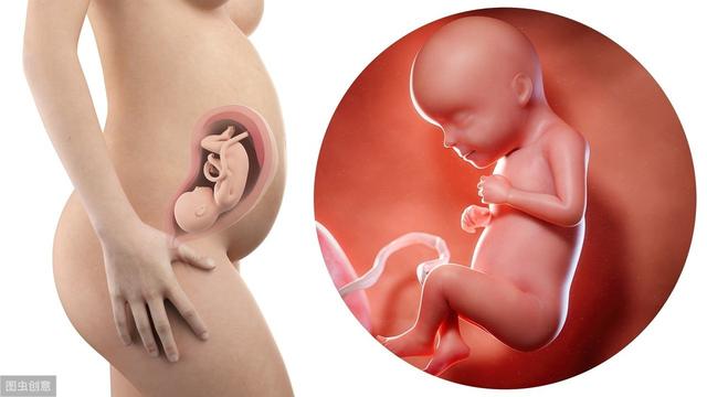胎宝宝在妈妈肚子里怕什么？原来他们是这么敏感