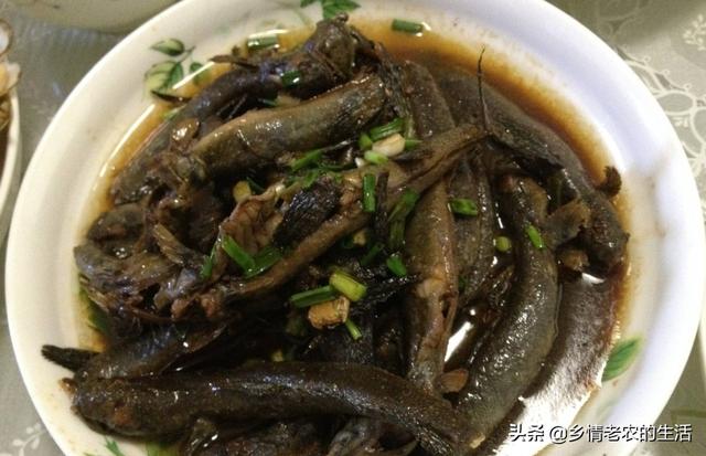 周末回娘家吃饭，妈妈做了这些菜，母爱的伟大全在菜里面