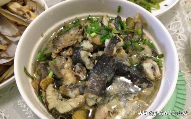 周末回娘家吃饭，妈妈做了这些菜，母爱的伟大全在菜里面