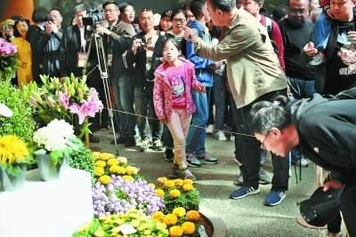 北京世园会，娃娃们的乐园