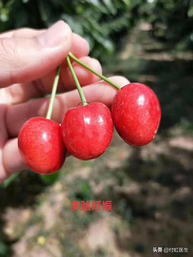 如何清楚的诠释妊娠？八张清晰大图告诉你！
