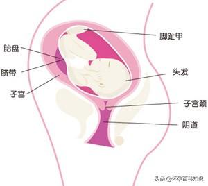 怀孕第三十二周，是不是迫不及待想见到你的小宝宝了？