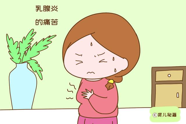 “能喂宝宝喝母乳就不喝奶粉” 说的容易，谁又知道母亲的心酸？