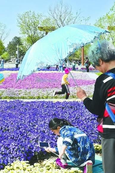 北京世园会，娃娃们的乐园