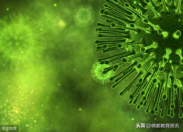父母课堂：父母有格局，孩子才能更优秀！