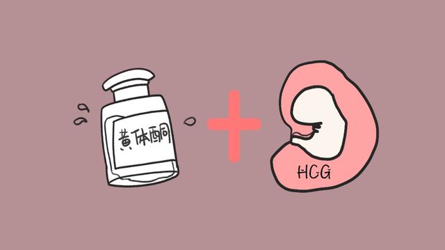 孕期HCG翻倍说明胎儿很健康，这个数值和别人比没用，别瞎紧张！