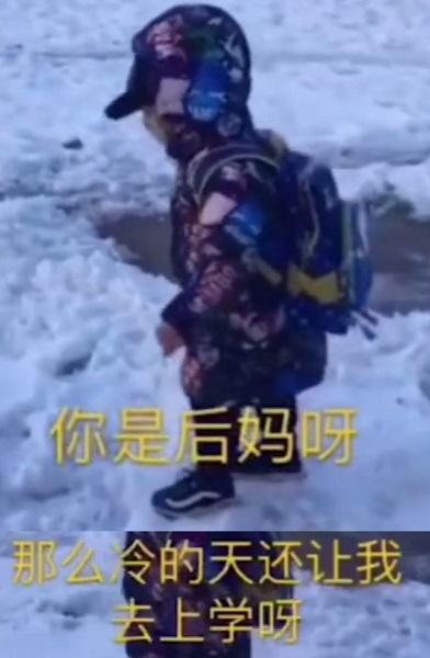 小朋友作文写：“蚕长大后，越来越恶心”，网友：过分诚实了