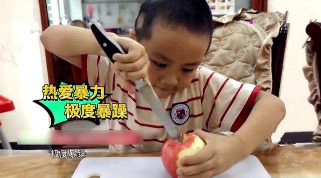 家长无奈无暇照顾到四个娃，看完老大对老二的暴力都觉得惊心动魄