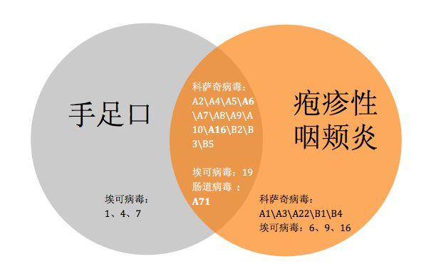 手足口、疱疹性咽峡炎多地爆发，孩子有这 4 个症状赶紧就医