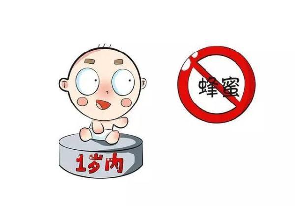1岁以内宝宝不要吃蜂蜜