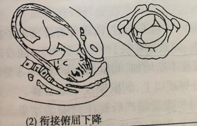 孕妈分娩时，胎宝有8个规定动作要完成，不然可能无缘顺产